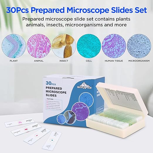 30 Microscope Slides with Specimens, Prepared Microscope Slides Set with Plants Animals Insects for Adults Students Homeschool Basic Biological Science Education-CubbioJoy