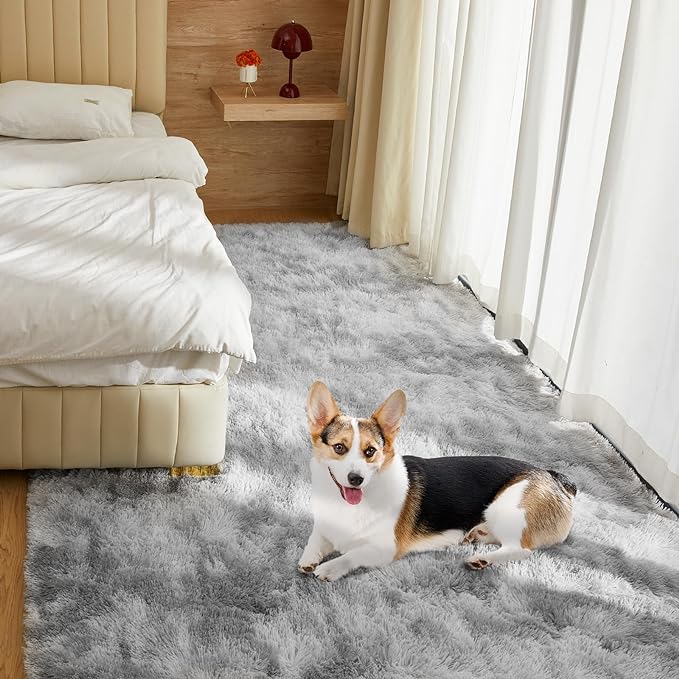 5X8 Ultra Soft Rug for Living Room, 5X8 Fluffy Shag Area Rug for Bedroom, Modern Shaggy Carpets Fuzzy Rug for Teens Dorm Nursery Home Decor Aesthetic, Upgrade Anti-Skid Durable, Tie-Dyed Light Grey-CubbioJoy