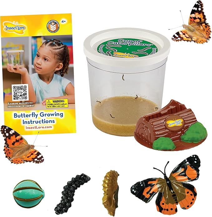 Insect Lore Cup Caterpillars - 5 Live Painted Lady Caterpillars with Food - Includes Figurines - Refill Kit for Butterfly Garden Habitat - STEM Science Activity for Kids and Classrooms-CubbioJoy