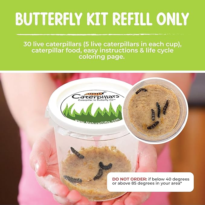 30 Live Caterpillars for Butterfly Habitat Kit - Refill for Painted Lady Butterfly Kit with Caterpillar Food, Instructions - Educational Science Kit, 6 Cups of 5 Caterpillars-CubbioJoy