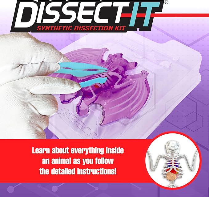 Dissect-It Simulated Synthetic Lab Dissection Toy, STEM Projects for Kids, Animal Science, Biology, and Anatomy Home Learning Kit, Bat-CubbioJoy