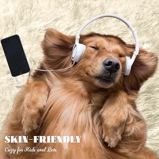 5x7 Area Rug for Living Room: Fluffy Shag Soft Washable Rugs Fuzzy Plush Indoor Carpet for Bedroom Nursery Playroom Dorm Kids Girls Boys Room (Cream White, 5'x7')-CubbioJoy