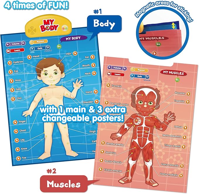BEST LEARNING i-Poster My Body - Interactive Educational Human Anatomy Talking Game Toy | Learn Body Parts, Organs, Muscles and Bones for Kids Aged 5 to 12 Years Old-CubbioJoy