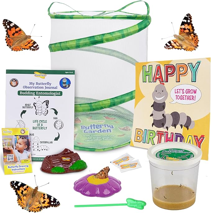 Insect Lore Butterfly Garden with Giant Birthday Card - 5 Live Baby Caterpillars, STEM Activity Journal, Habitat, Chrys-A-Lid Holder, Feeder - Raise and Release Painted Lady Butterflies-CubbioJoy