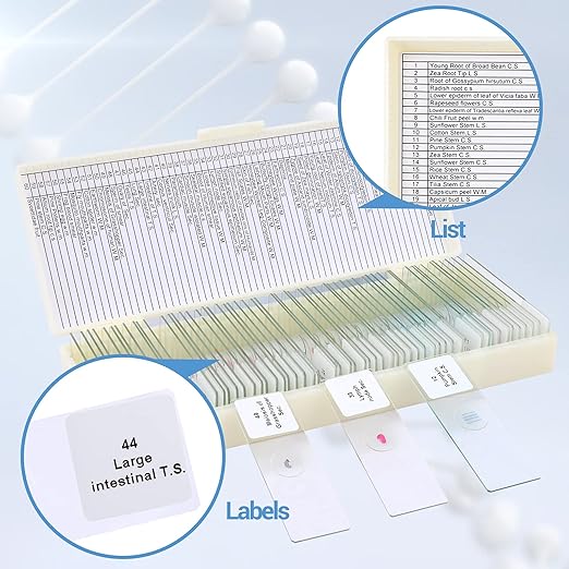 60 Microscope Slides with Specimens for Kids, Prepared Microscope Slides for Kids Microbiology, Prepared Microscope Slides for Adults-CubbioJoy