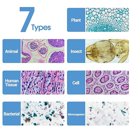 30 Microscope Slides with Specimens for Kids, Prepared Microscope Slides for Kids Microbiology, Glass Slides for Microscope, Biology Gifts for Adults Kids-CubbioJoy