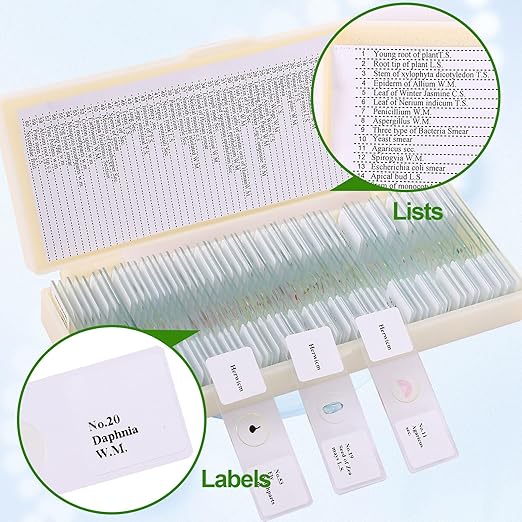 60 Pieces Prepared Microscope Slide Set with Specimens, Plant Animal Cell Science Education Microscope Slides for Bioscience Labs-CubbioJoy