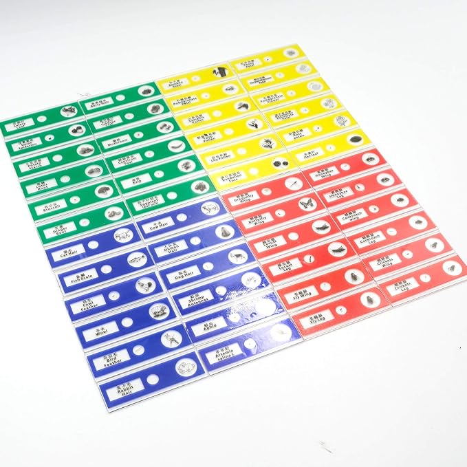 48pcs Prepared Plastic Microscope Slides Biological Specimen with 4 Boxes for Children Student Enlighten Education-CubbioJoy