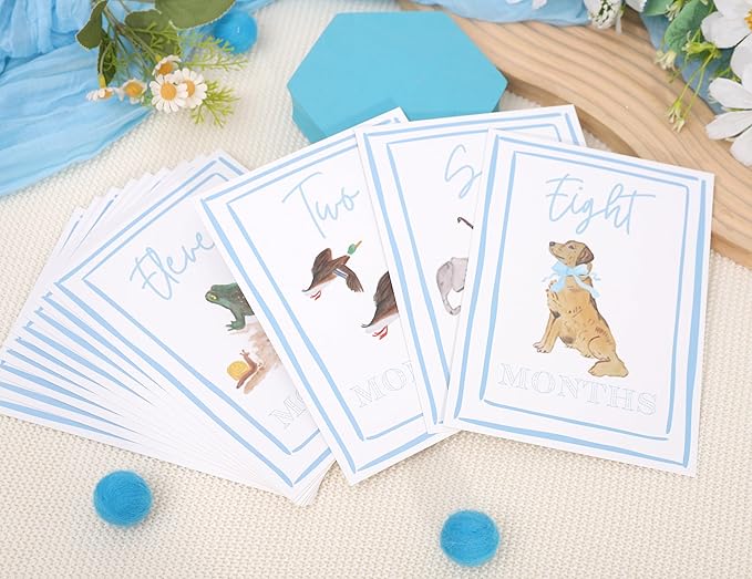 Boy Watercolor Milestone Cards - My First Monthly Milestone Cards,Blue Boy 12 Monthly Newborn Photos(Cards-1)-CubbioJoy