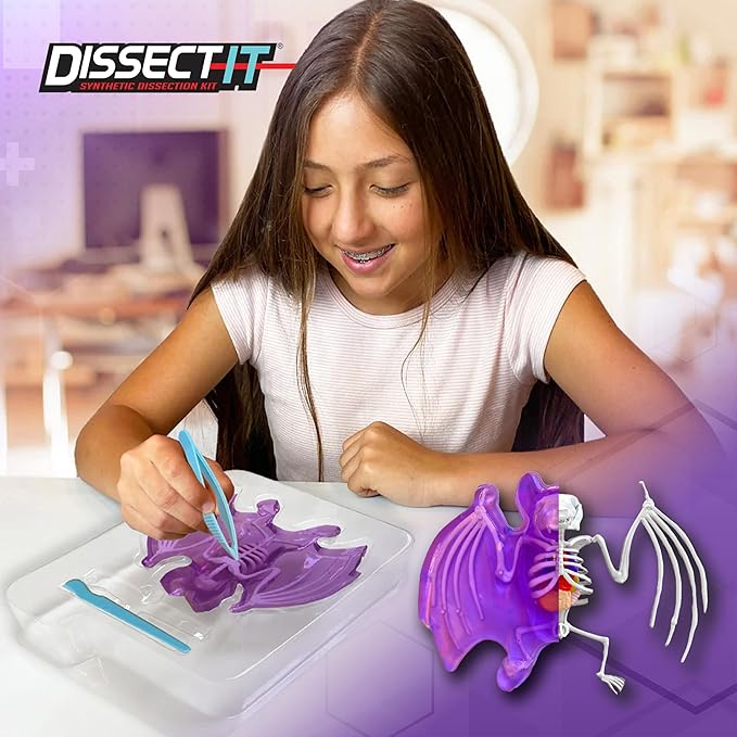 Dissect-It Simulated Synthetic Lab Dissection Toy, STEM Projects for Kids, Animal Science, Biology, and Anatomy Home Learning Kit, Bat-CubbioJoy