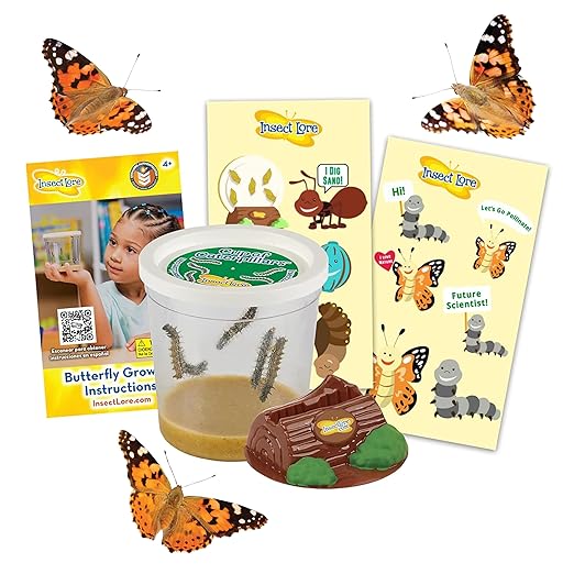 Insect Lore Cup of Caterpillars - 5 Live Painted Lady Caterpillars with Food - Refill for Butterfly Garden Kit - Stickers & Chrys-A-Lid Holding Log Included - STEM Learning Activity-CubbioJoy