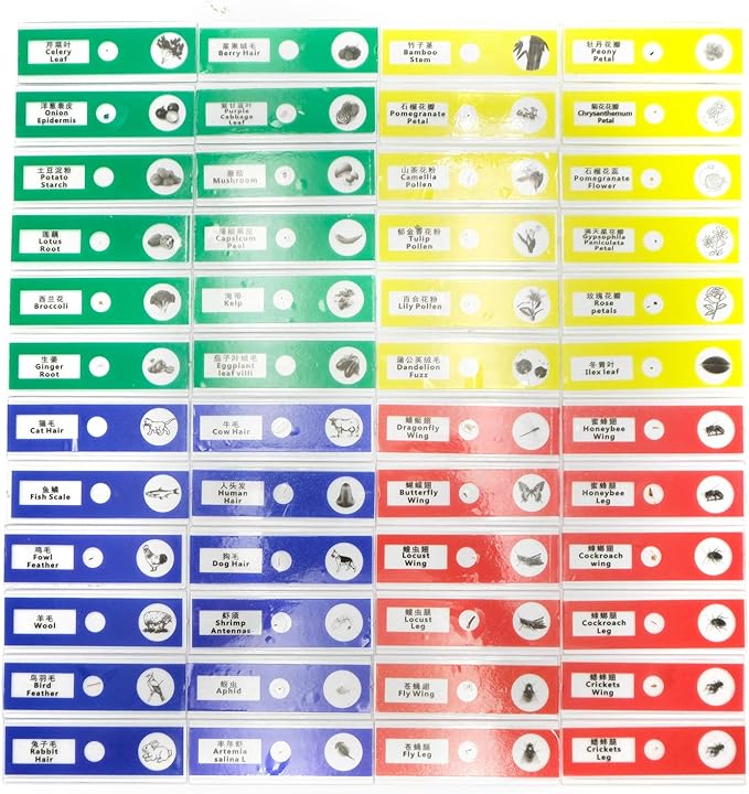 48pcs Prepared Plastic Microscope Slides Biological Specimen with 4 Boxes for Children Student Enlighten Education-CubbioJoy