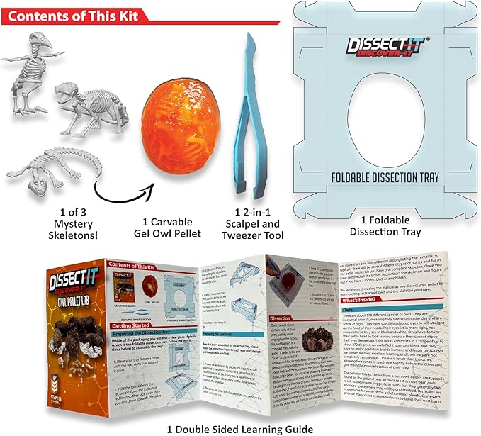 Dissect-It Discover-It Simulated Synthetic Lab Dissection STEM Toy, Complete Set of 4 Kits, Kids’ Home Learning Science Projects, Great for Young Scientists!-CubbioJoy