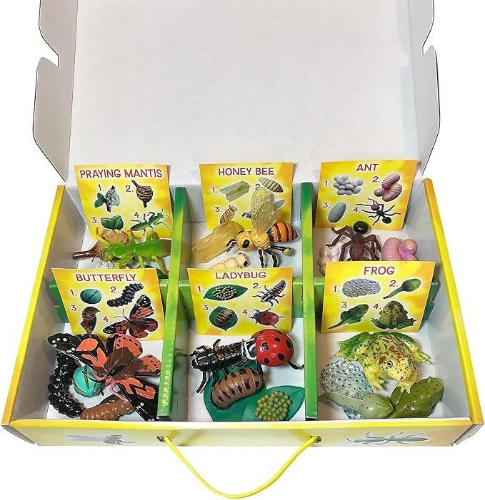 Insect Lore's Life Cycle Figurines 24 Pc Set | Butterfly, Ladybug, Frog, Honey Bee, Ant and Praying Mantis | 4 Stages Per Insect, 24 Figurines Total-CubbioJoy