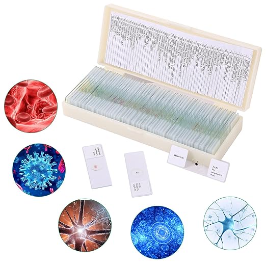 60 Pieces Prepared Microscope Slide Set with Specimens, Plant Animal Cell Science Education Microscope Slides for Bioscience Labs-CubbioJoy