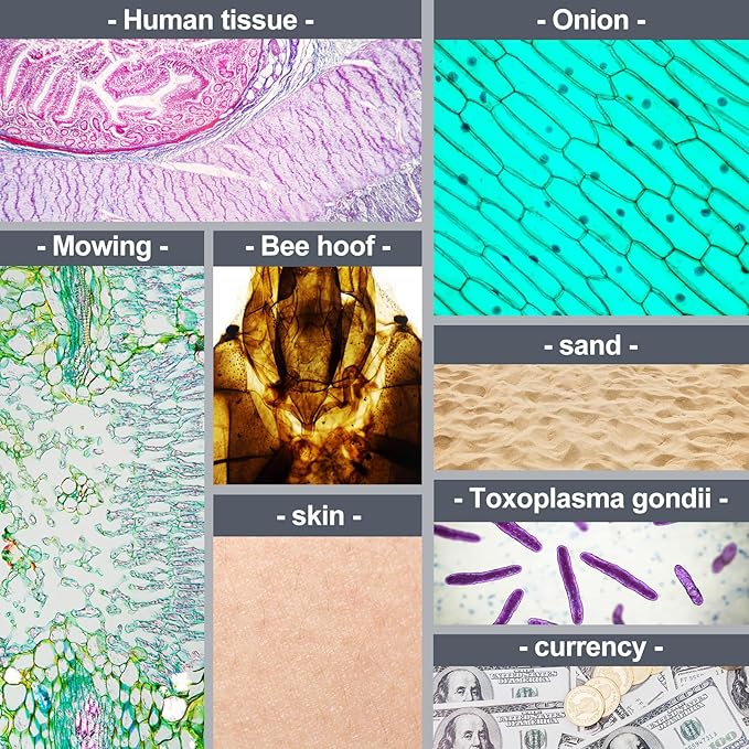 BEBANG Pocket Microscope,60X-120X Handheld Mini Microscope for Kids with LED Lighted Zoom, Portable Microscope Kits with 5 Pcs Slides for Adults Microbiological Observation Preschool Home Study Gifts-CubbioJoy