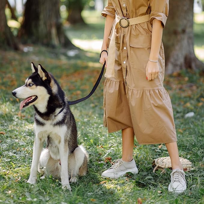 Baby Stroller Wheelchair Safety Wrist Strap or Large Dog Leash, Second Layer Security for Retractable Dog Leash, Black with Blue Stitching-CubbioJoy