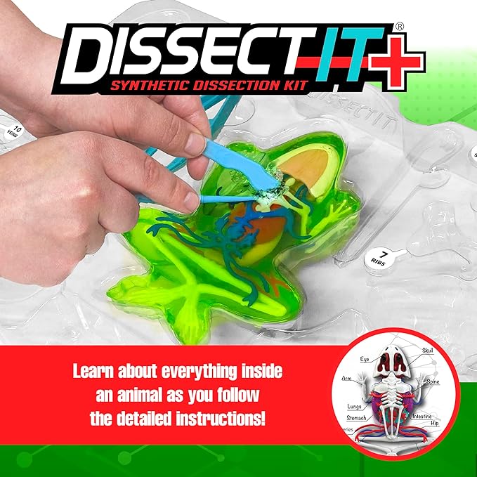 Dissect-It Kit for Kids, Simulated Synthetic Lab Dissection Toy, Frog Super Lab STEM Toys for Animal Science, Biology, and Anatomy-CubbioJoy