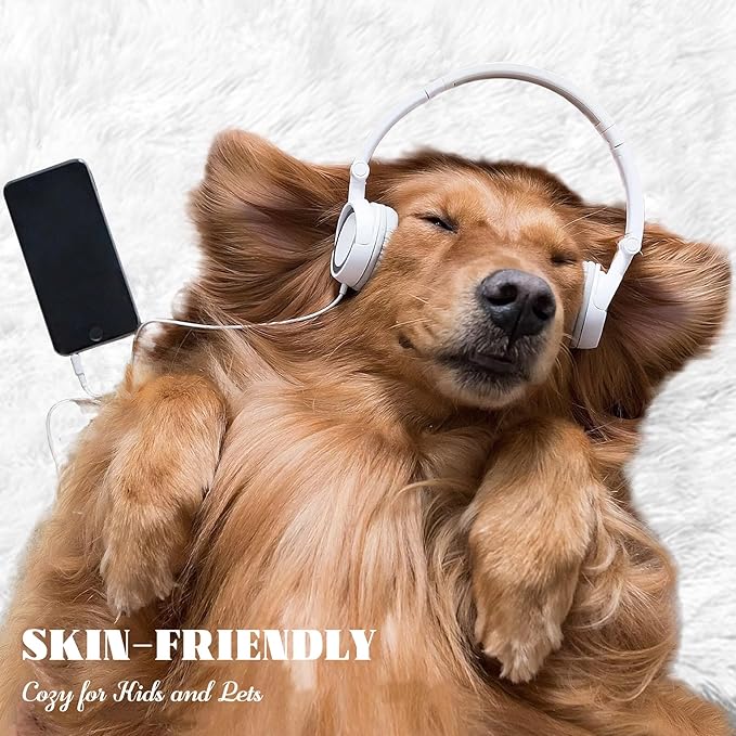 5x7 Area Rug for Living Room: Fluffy Shag Soft Washable Rugs Fuzzy Plush Indoor Carpet for Bedroom Nursery Playroom Dorm Kids Girls Boys Room (White, 5'x7')-CubbioJoy