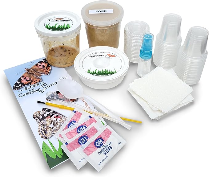 32 Live Caterpillars Shipped Now: Butterfly Kit Refill for School Sized Kit with Extra Larva Rearing Supplies and 32 Little Cups by Nature Gift Store-CubbioJoy