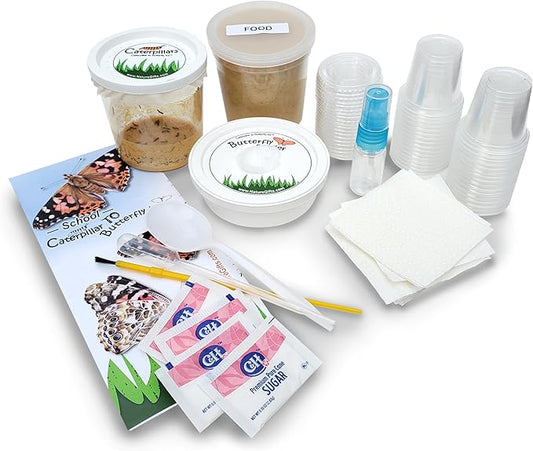 32 Live Caterpillars Shipped Now: Butterfly Kit Refill for School Sized Kit with Extra Larva Rearing Supplies and 32 Little Cups by Nature Gift Store-CubbioJoy