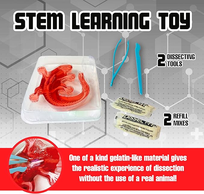 Dissect-It Kit for Kids, Simulated Synthetic Lab Dissection Toy, Salamander STEM Toys for Animal Science, Biology, and Anatomy-CubbioJoy