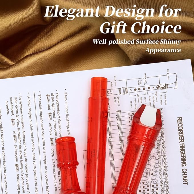 Descant Soprano Music Recorder Instrument For Kids Flute Kids Recorder With Cleaning Rod + Case Bag (Crystal red)-CubbioJoy