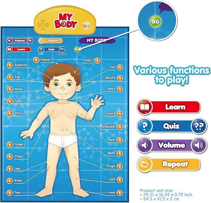 BEST LEARNING i-Poster My Body - Interactive Educational Human Anatomy Talking Game Toy | Learn Body Parts, Organs, Muscles and Bones for Kids Aged 5 to 12 Years Old-CubbioJoy