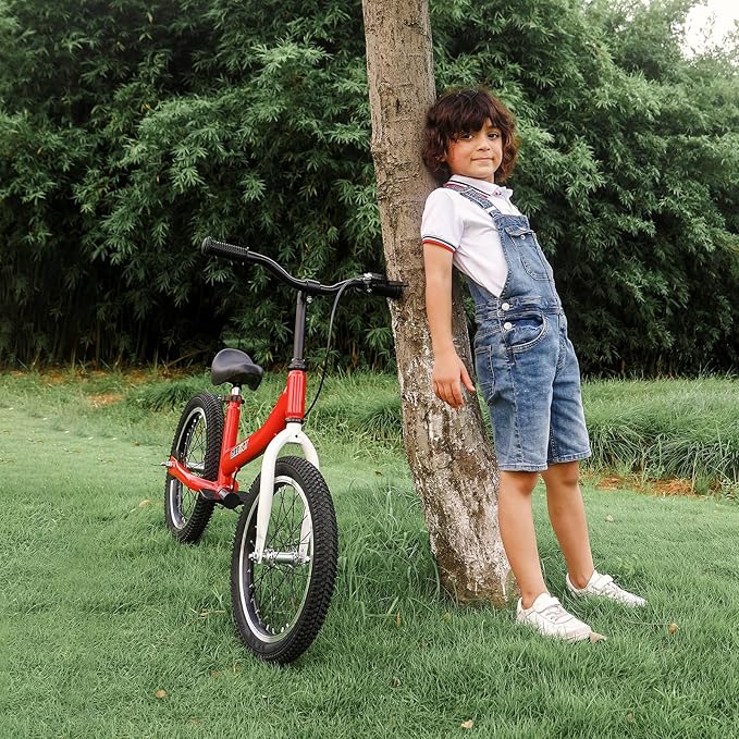 Balance Bike 2 in 1,The Dual Use of a Kids Balance Bike and Toddler Bike, for 2 3 4 5 6 7 Years Old -12 14 16 Inches with Training Theory, Brake, Pedal-CubbioJoy