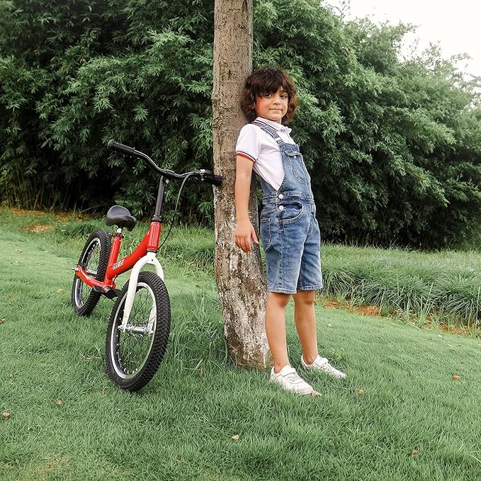 Balance Bike 2 in 1,The Dual Use of a Kids Balance Bike and Toddler Bike, for 2 3 4 5 6 7 Years Old -12 14 16 Inches with Training Theory, Brake, Pedal-CubbioJoy