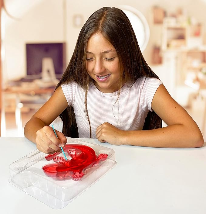 Dissect-It Kit for Kids, Simulated Synthetic Lab Dissection Toy, Salamander STEM Toys for Animal Science, Biology, and Anatomy-CubbioJoy