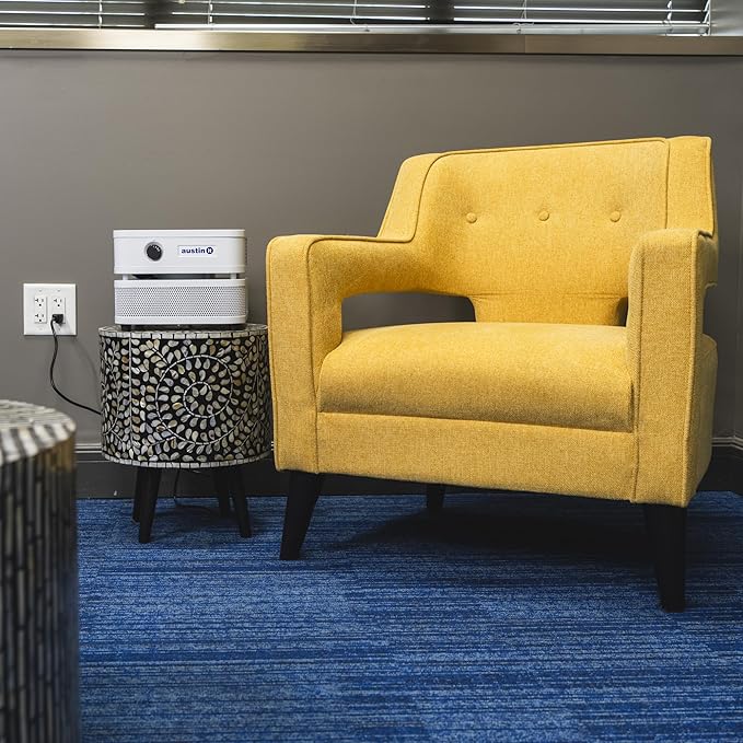 Austin Air it Room Air Purifier with VOC Carbon Wrap Air Filters - Personal Air Filter Single Room Air Purifiers - Portable Allergy Purifier - Stylish Tabletop Purifier for Dust, Model C100CC1-CubbioJoy