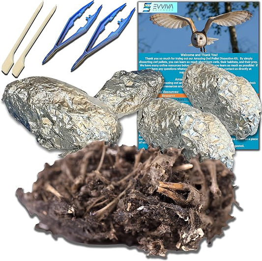 Amazing Owl Pellet Dissection Kit 5-Piece Set for Science Lab Projects Includes Tweezers and Wooden Probes Ideal for Ages 15 & Older Barn Owl eBook Included-CubbioJoy