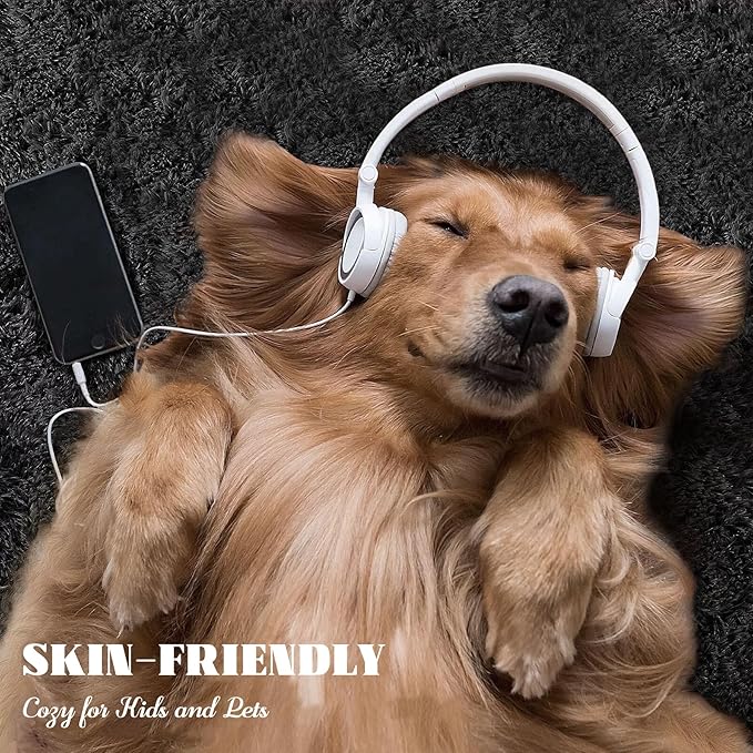 6x9 Area Rug for Living Room: Fluffy Shag Soft Washable Rugs Large Fuzzy Plush Indoor Carpet for Bedroom Nursery Playroom Kids Girls Boys Room (Black, 6'x9')-CubbioJoy