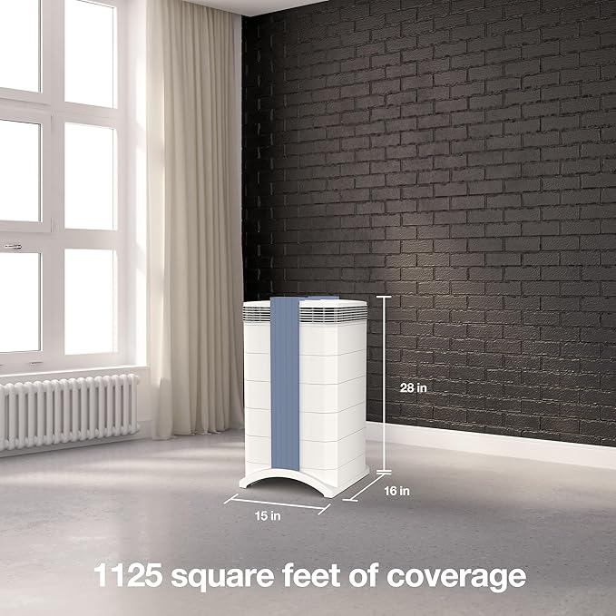 IQAir GC MultiGas XE Air Purifier – Smart MultiGas Filtration for Rooms up to 1125 sq ft - Chemicals, Odors, VOCs, and Particles, Swiss Made, WiFi Enabled-CubbioJoy