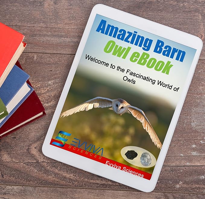 Amazing Owl Pellet Dissection Kit 5-Piece Set for Science Lab Projects Includes Tweezers and Wooden Probes Ideal for Ages 15 & Older Barn Owl eBook Included-CubbioJoy