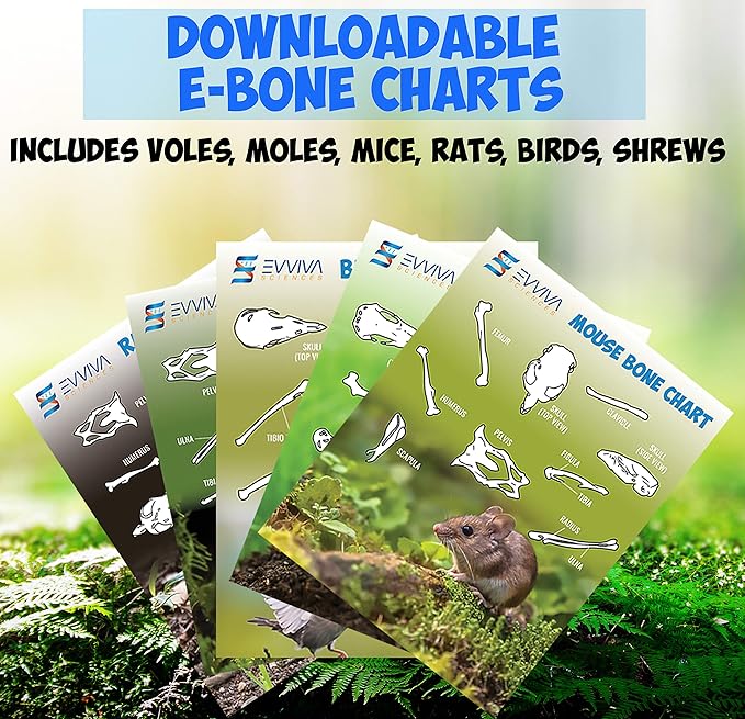 Amazing Owl Pellet Dissection Kit 5-Piece Set for Science Lab Projects Includes Tweezers and Wooden Probes Ideal for Ages 15 & Older Barn Owl eBook Included-CubbioJoy