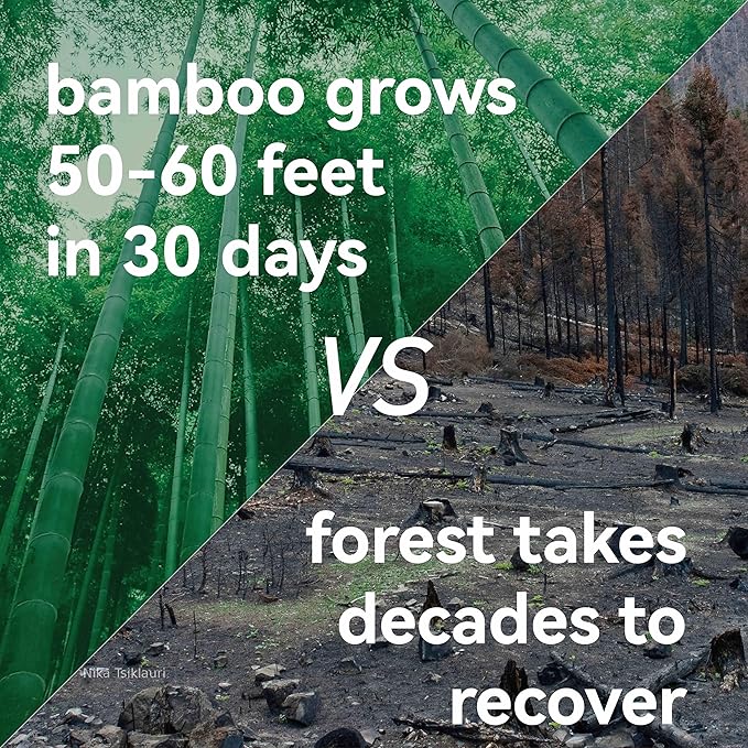 Children Bamboo Toothbrushes for 3 y+ Tots, BPA Free Bristles, Medium Soft, 6 PCS Bamboo Toothbrush for Dental Hygiene, Compostable and Sustainable, Classic Rounded Handle for Easy Grip-CubbioJoy