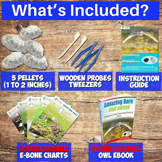 Amazing Owl Pellet Dissection Kit 5-Piece Set for Science Lab Projects Includes Tweezers and Wooden Probes Ideal for Ages 15 & Older Barn Owl eBook Included-CubbioJoy