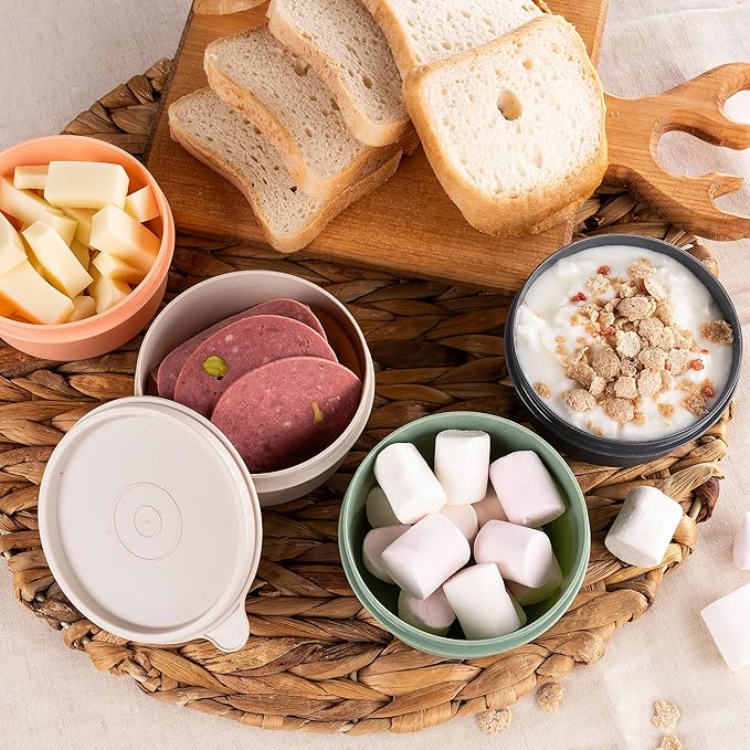 9 oz Small Round Food Storage Containers with Lids Set of 10, Airtight Leakproof Reusable, Plastic To Go Bento Box, Mini Lunch Box, Snack Storage Bowl, for Kitchen, Picnic (10)-CubbioJoy